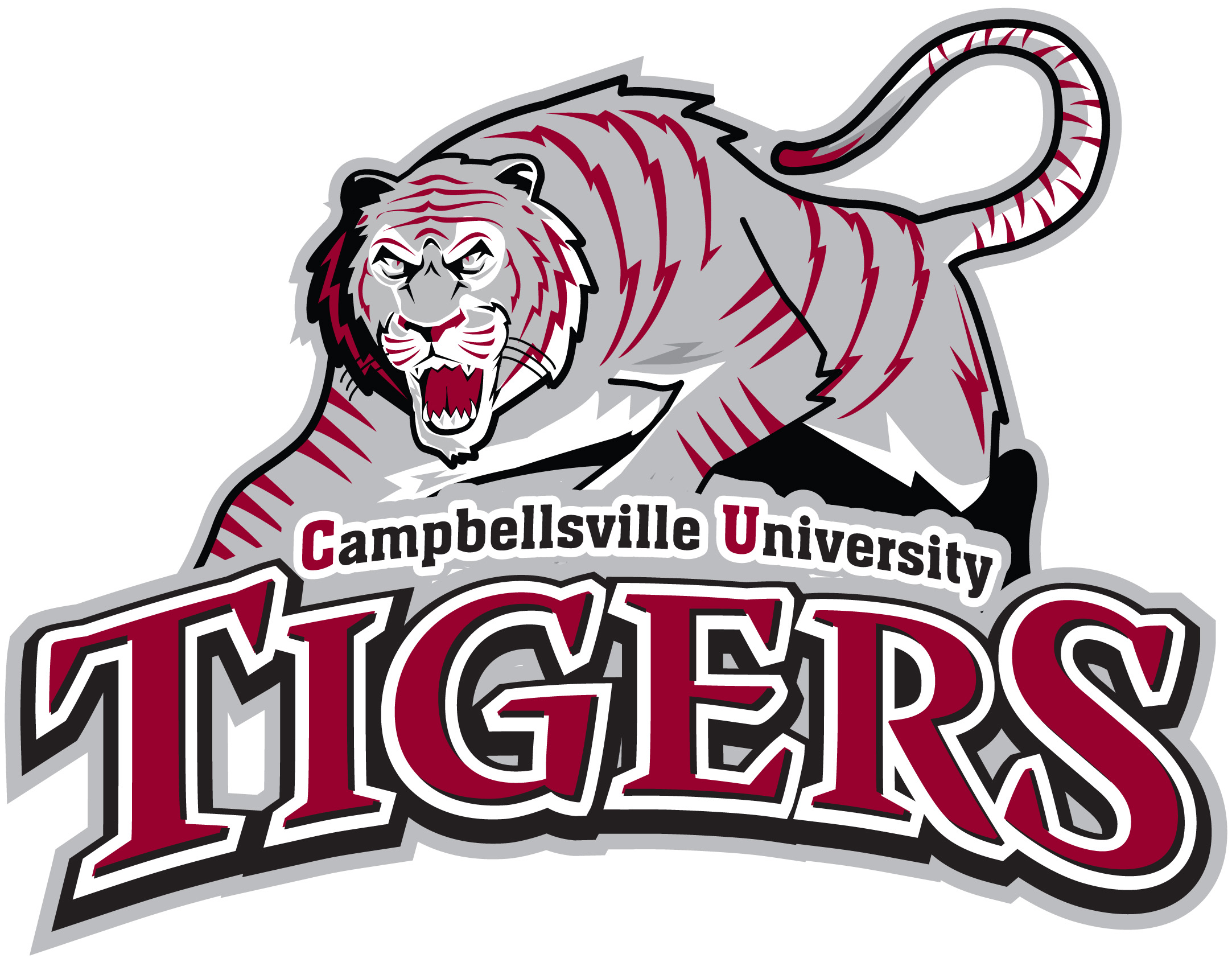 Team Logo